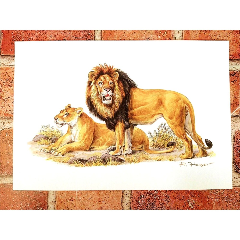 Lion and Lioness Art Print 1999 Vintage Wildlife Decor 7"x10"